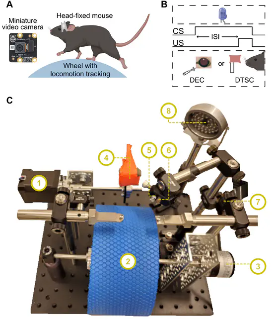 A Flexible Platform for Monitoring Cerebellum-Dependent Sensory Associative Learning