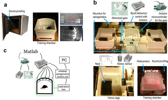 Efficient training of mice on the 5-choice serial reaction time task in an automated rodent training system