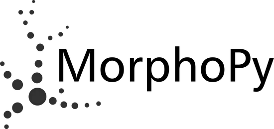 MorphoPy: A python package for feature extraction of neural morphologies