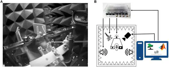 Open Source Tools for Temporally Controlled Rodent Behavior Suitable for Electrophysiology and Optogenetic Manipulations