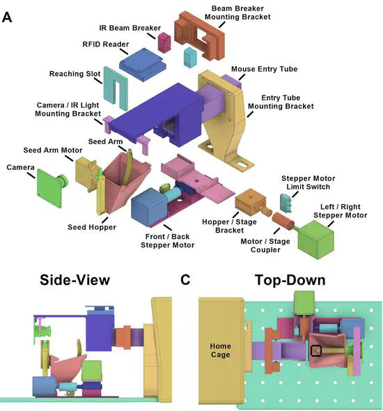 The home cage automated skilled reaching apparatus HASRA individualized training of group housed mice in a single pellet reaching task